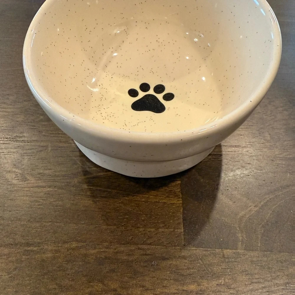 Ceramic dog bowl